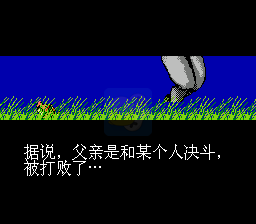 忍者龙剑传 hack (中文版) 实机画面 3